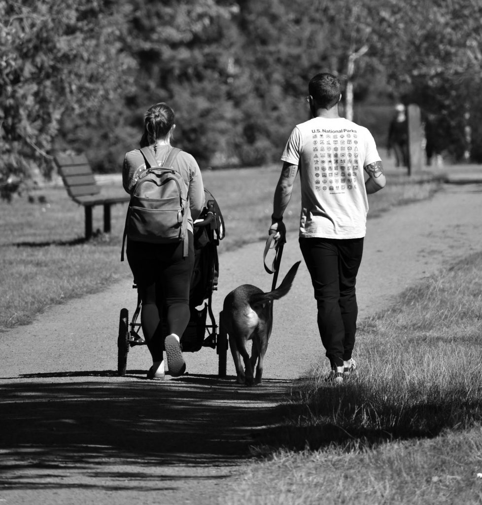 Couple with Dog and Stroller Walking in Park